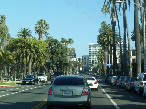 a0144811_010867.jpg