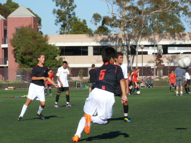 a0144811_0185768.jpg