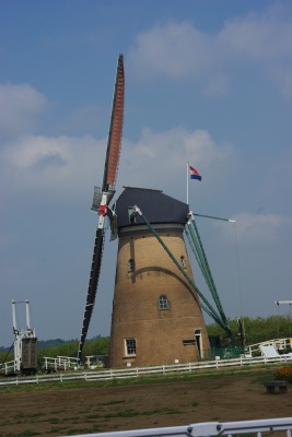 d0147812_17504680.jpg