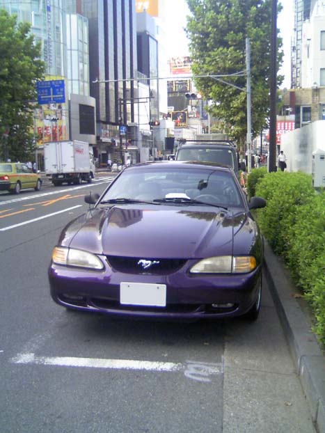 c0083518_8584250.jpg
