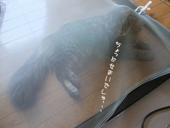 e0193822_1522232.jpg