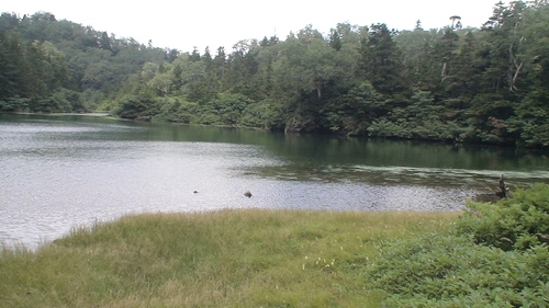 f0028123_17594746.jpg