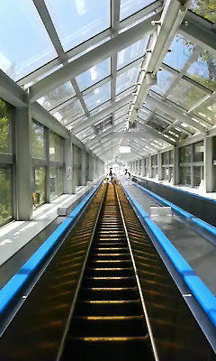 a0156526_21581149.jpg