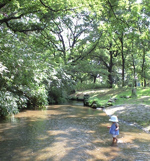 c0157226_22413748.jpg