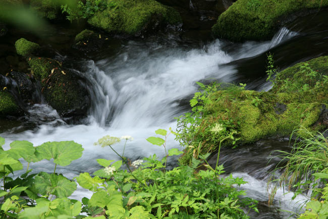 f0017530_21461542.jpg