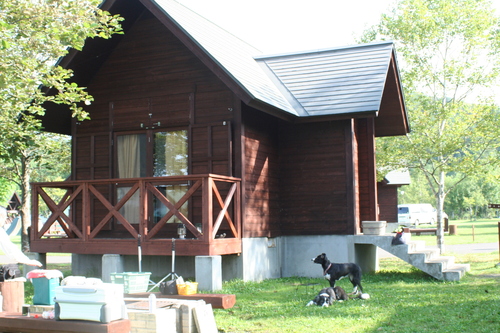 b0085331_13473520.jpg