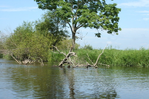 b0085331_21445298.jpg