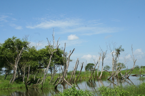 b0085331_21451549.jpg