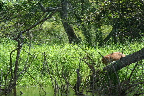 b0085331_21461960.jpg