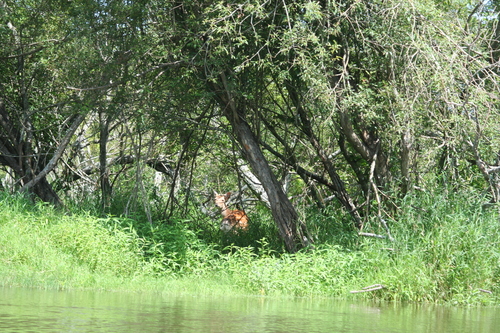 b0085331_21465075.jpg