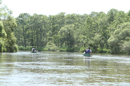 b0085331_21472134.jpg