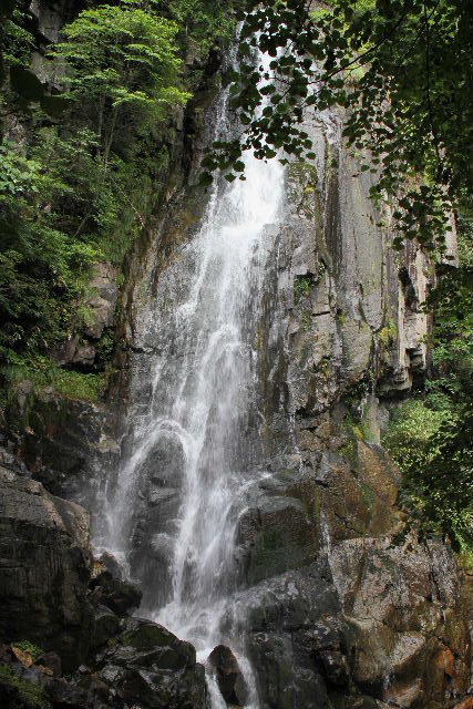 e0064133_2349180.jpg