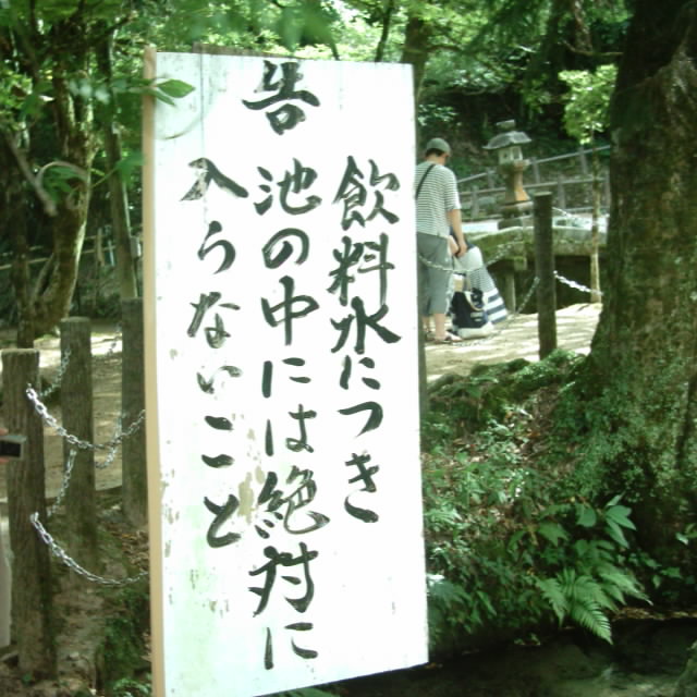 b0065936_18592159.jpg