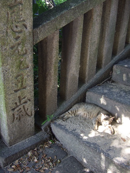 b0065936_20141443.jpg