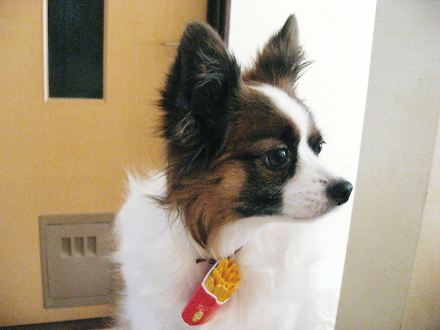 a0149240_1053677.jpg