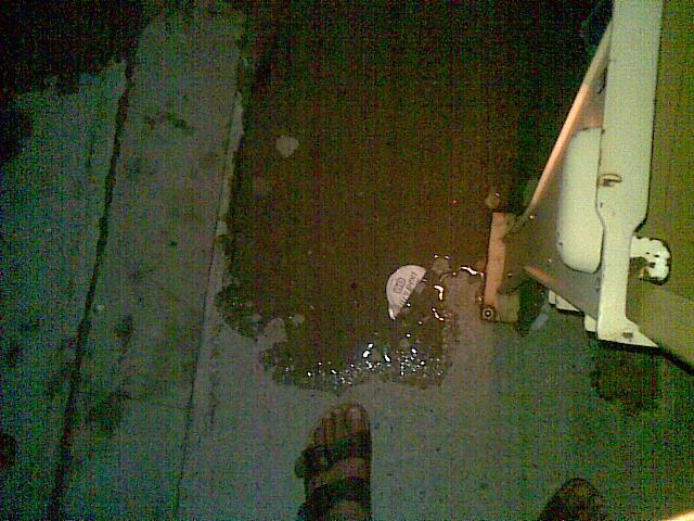 c0022340_205947.jpg