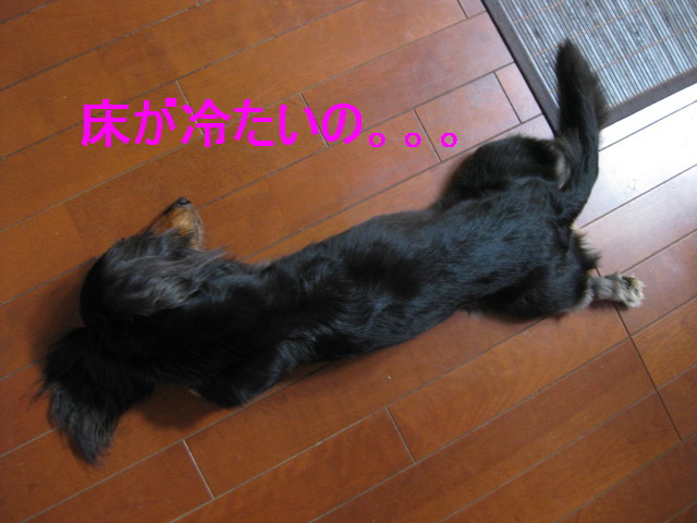 b0181341_9181510.jpg