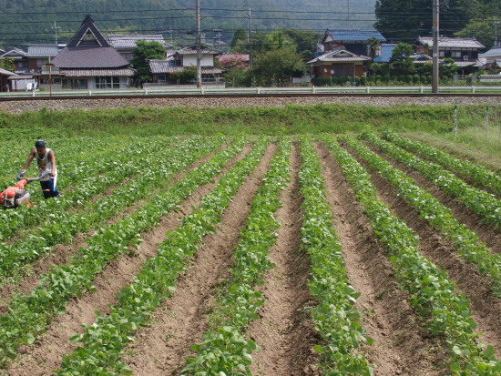c0072843_191255.jpg