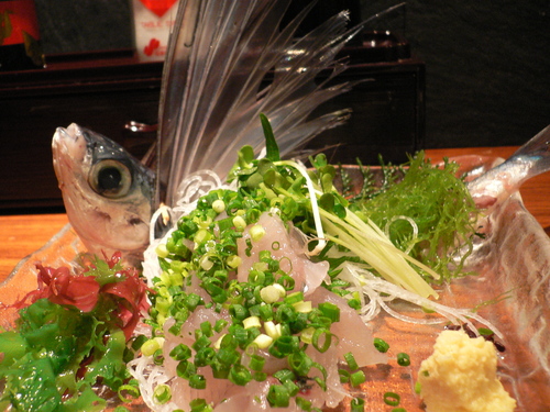 a0012545_5525987.jpg