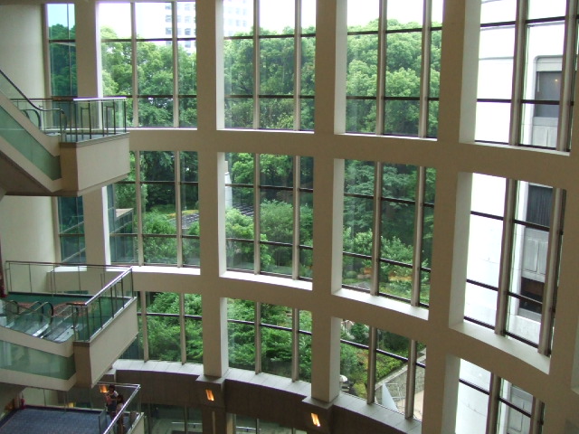 c0071545_8502339.jpg