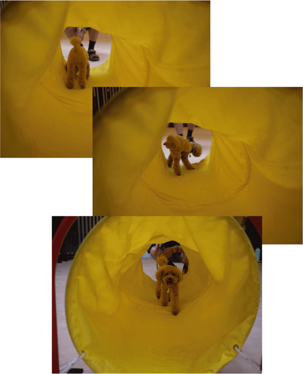 b0182846_17285122.gif