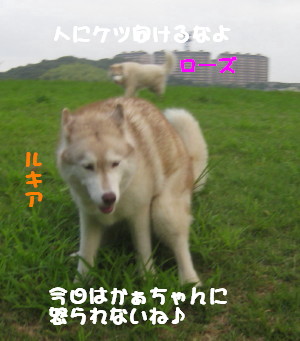 e0121548_21525097.jpg