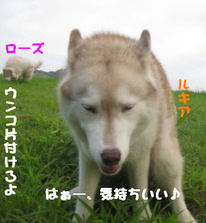 e0121548_2158423.jpg
