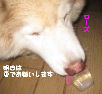e0121548_22251062.jpg
