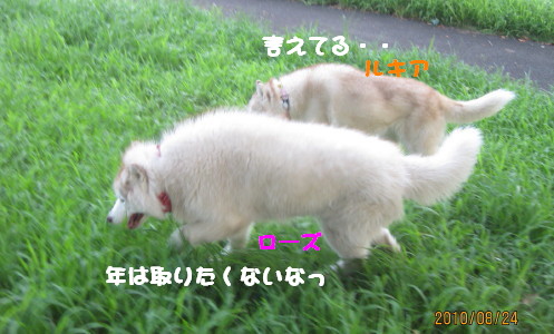 e0121548_2232161.jpg