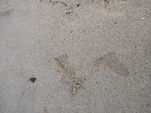 c0223257_11573224.jpg