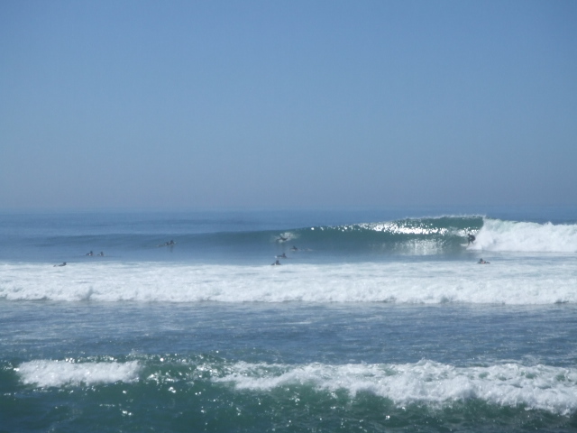 f0172157_8453050.jpg