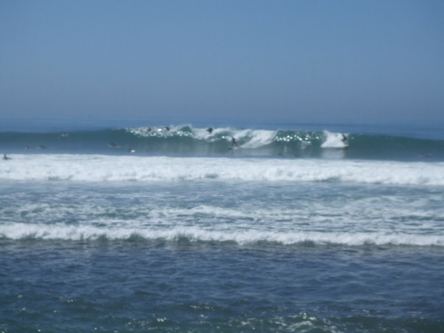 f0172157_8455572.jpg
