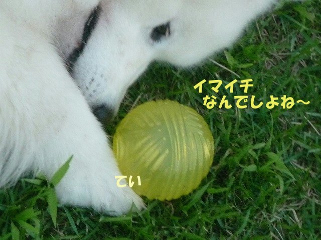 e0176159_1133015.jpg