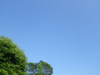 f0055264_0453871.jpg