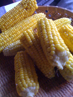 e0142868_14491530.jpg