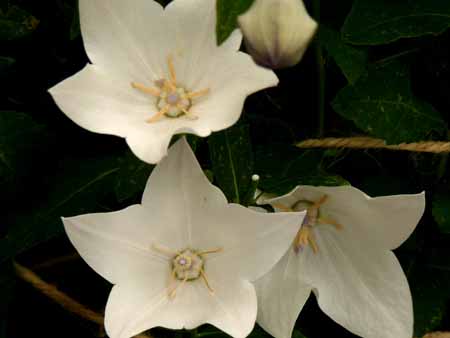 f0086169_205524100.jpg