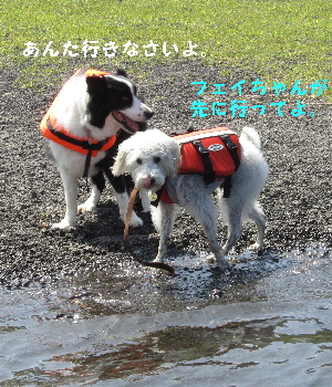 f0203369_15203964.jpg