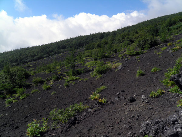 c0122670_103651.jpg