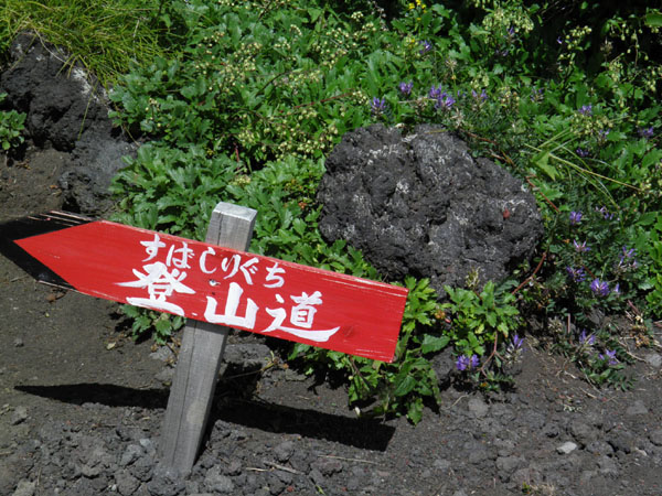 c0122670_112236.jpg