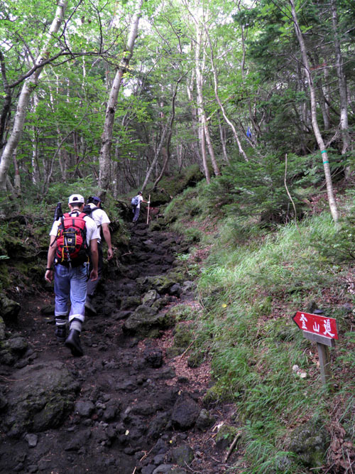 c0122670_1203535.jpg