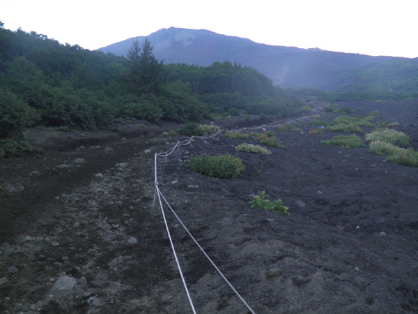 c0122670_253227.jpg