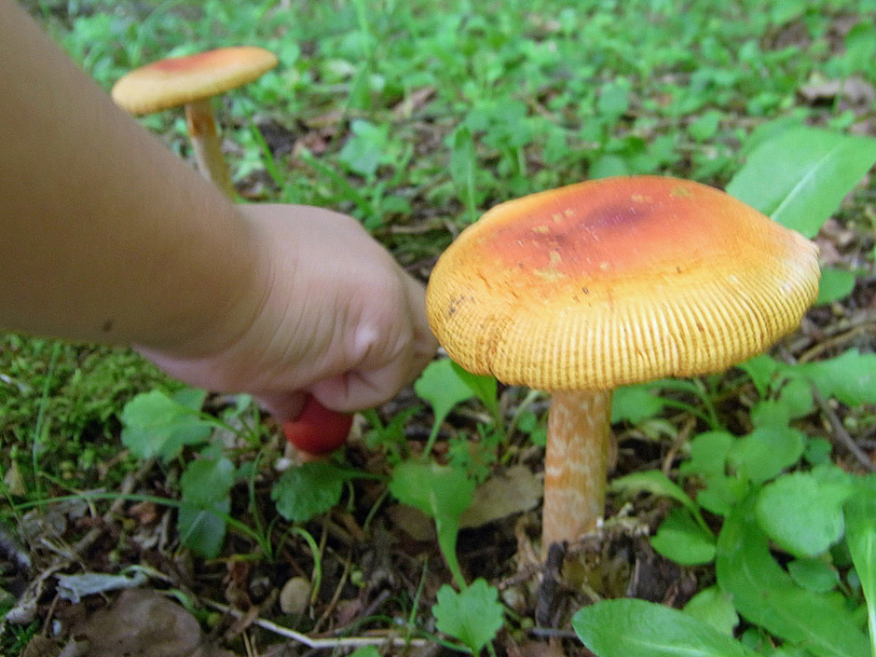 e0100772_22331387.jpg