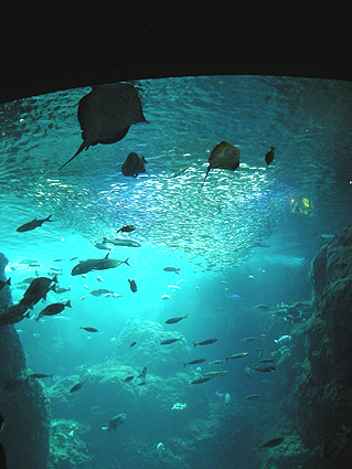 a0036780_22184445.jpg