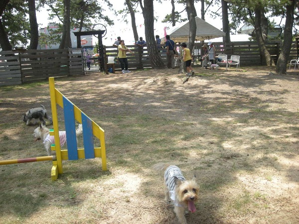 e0066883_2214724.jpg