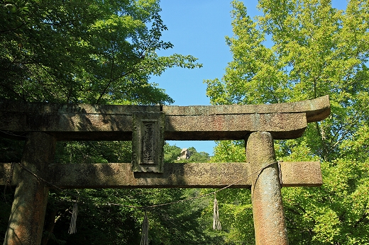 e0190885_20245151.jpg