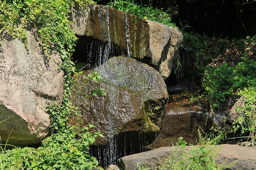e0190885_20263481.jpg
