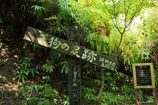 e0190885_2026422.jpg