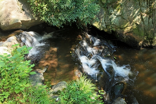 e0190885_20265478.jpg