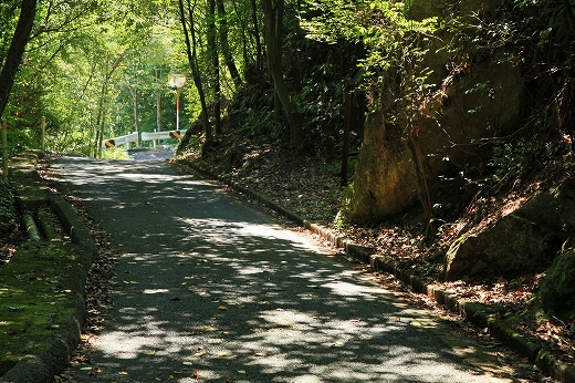 e0190885_20274256.jpg