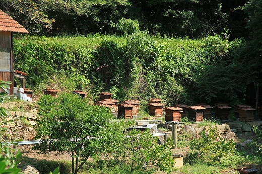 e0190885_20274922.jpg